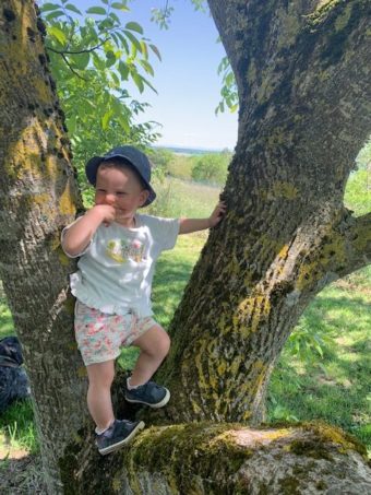 Ateliers bébés fermiers : les 26 octobre et 2 Novembre prochains de 10h à 11h30