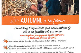Choississez l’expérience que vous souhaitez vivre en famille, pendant les vacances d’automne 2020