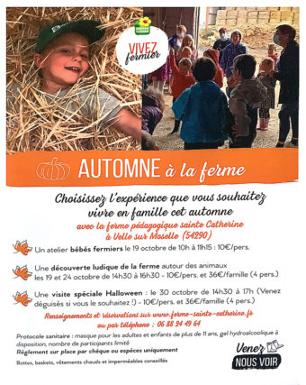 Choississez l’expérience que vous souhaitez vivre en famille, pendant les vacances d’automne 2020