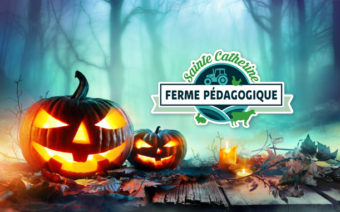 Halloween à la ferme : venez déguisés si vous le souhaitez !