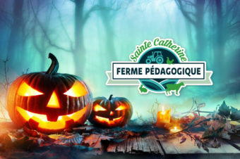 Halloween à la ferme : venez déguisés si vous le souhaitez !