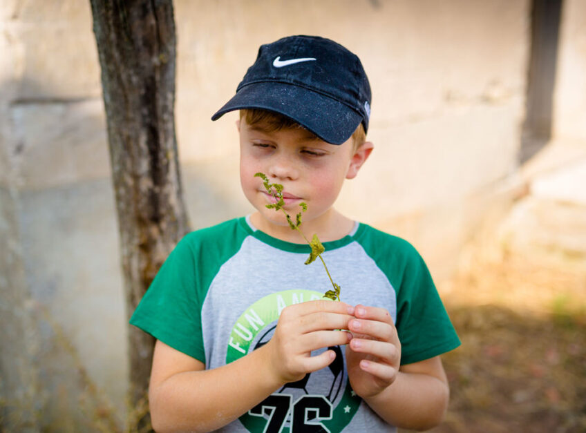 Les visites pour les familles redémarrent au printemps 2026