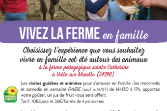 Vivez la ferme en famille ou entre amis cet été 2021