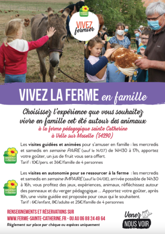 Vivez la ferme en famille ou entre amis cet été 2021